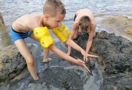  (photo)
