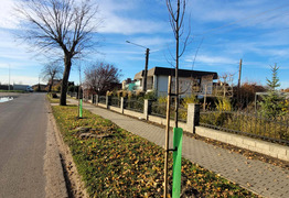 (photo)