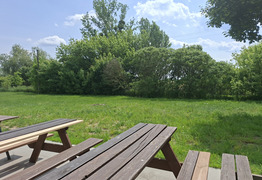 (photo)