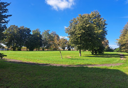 (photo)