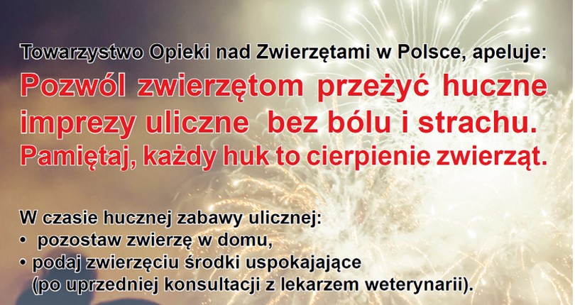 Apel w sprawie zabezpieczenia swoich podopiecznych w noc sylwestrową.